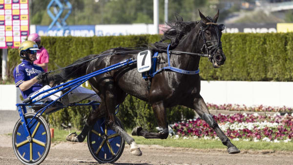 Foto: LENA EMMOTH / TR BILD