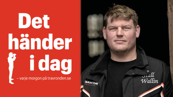 Foto: MONTAGE/TR BILD