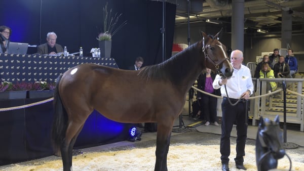 Foto: LARS JAKOBSSON / TR BILD