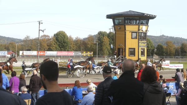 Foto: MICKE GUSTAFSSON / TR BILD