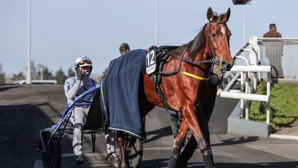 Foto: BRUNO VANDEVELDE/LE TROT