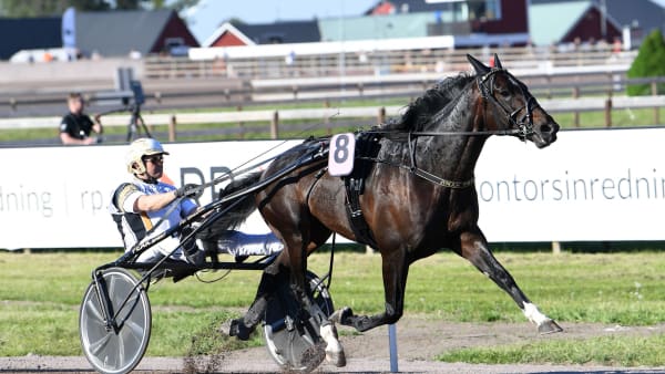 Foto: MALIN ALBINSSON / TR BILD