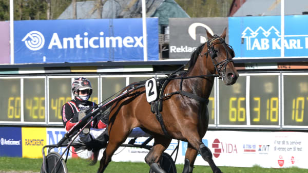 Foto: LARS JAKOBSSON / TR BILD