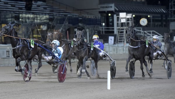 Foto: LARS JAKOBSSON / TR BILD