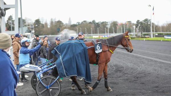 Foto: BRUNO VANDEVELDE/LE TROT