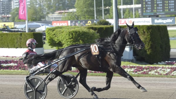 Foto: LARS JAKOBSSON / TR BILD