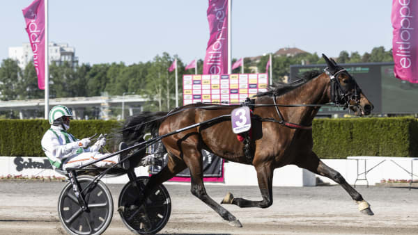 Foto: LENA EMMOTH/TR BILD