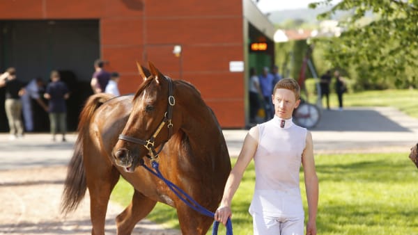 Foto: THOMAS BLOMQVIST / TR BILD