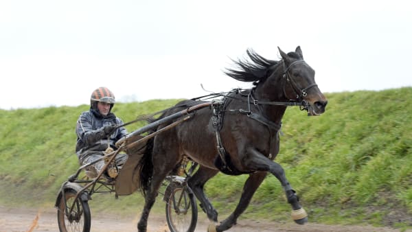 Foto: LARS JAKOBSSON / TR BILD