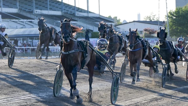 Foto: LARS JAKOBSSON / TR BILD