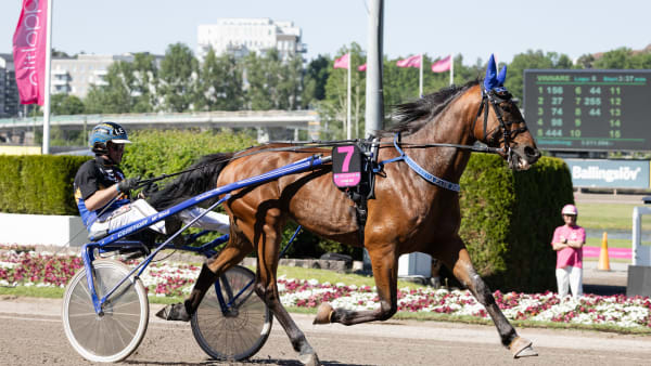 Foto: LENA EMMOTH / TR BILD