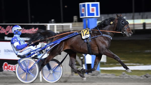 Foto: MALIN ALBINSSON / TR BILD