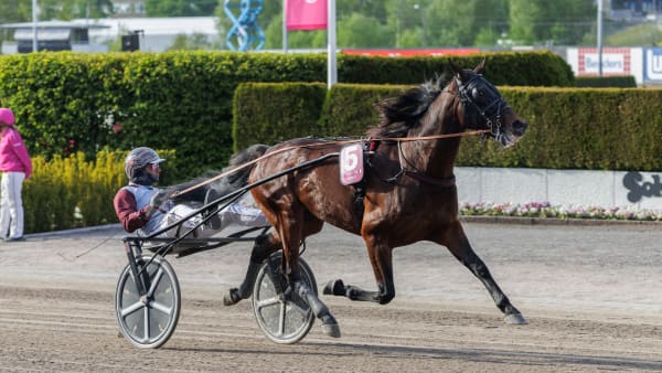 Foto: LENA EMMOTH / TR BILD