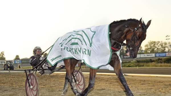 Foto: LARS JAKOBSSON / TR BILD