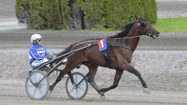 Foto: LARS JAKOBSSON / TR BILD
