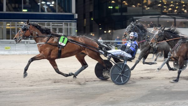 Foto: LARS JAKOBSSON / TR BILD