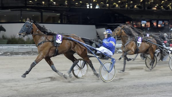 Foto: LARS JAKOBSSON / TR BILD