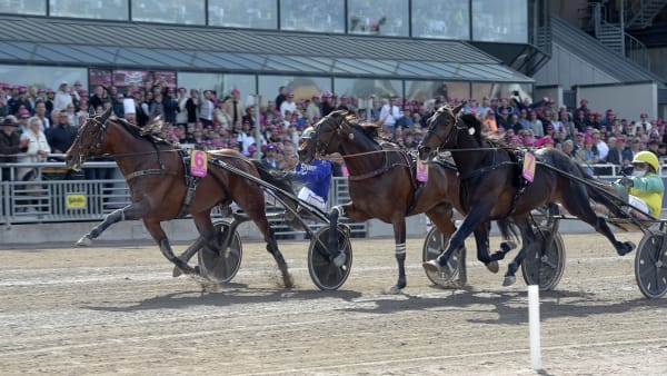 Foto: LARS JAKOBSSON / TR BILD