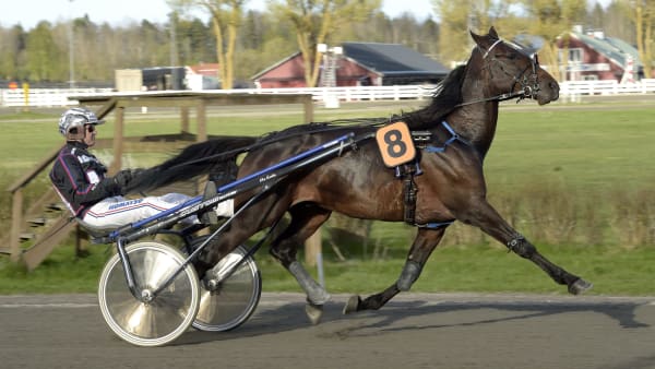 Foto: LARS JAKOBSSON / TR BILD