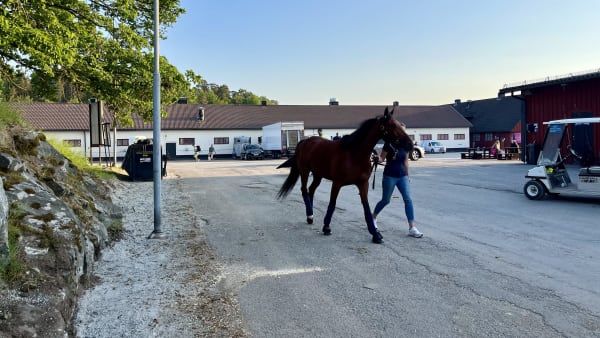 Foto: Mattias Holmgren