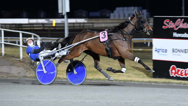 Foto: MALIN ALBINSSON / TR BILD