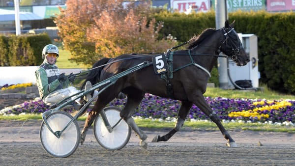 Foto: LARS JAKOBSSON / TR BILD