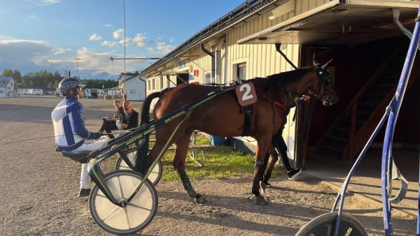 Foto: Lars-Johan Holm/TR Bild.