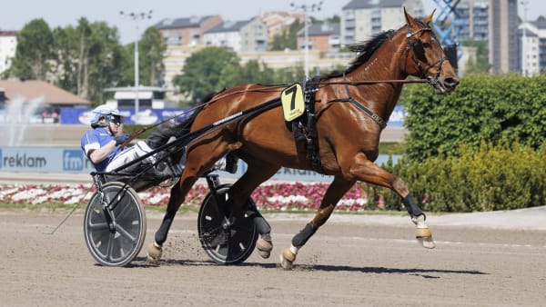 Foto: LENA EMMOTH / TR BILD