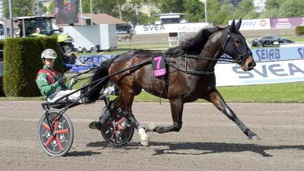 Foto: LARS JAKOBSSON / TR BILD