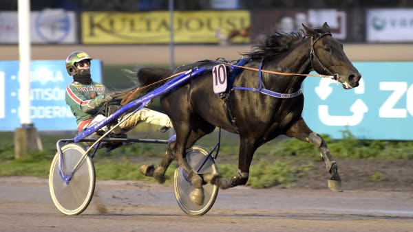 Foto: LARS JAKOBSSON / TR BILD