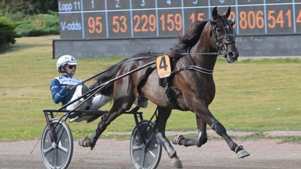 Foto: LARS JAKOBSSON / TR BILD