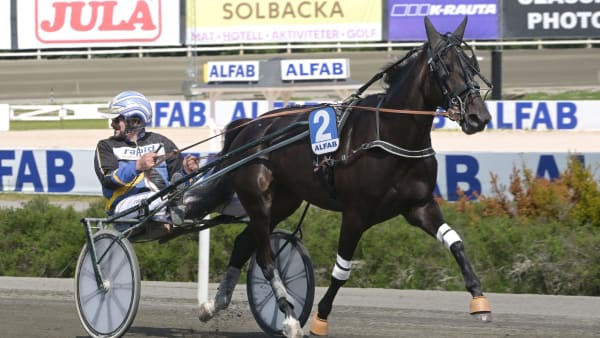 Foto: LARS JAKOBSSON / TR BILD