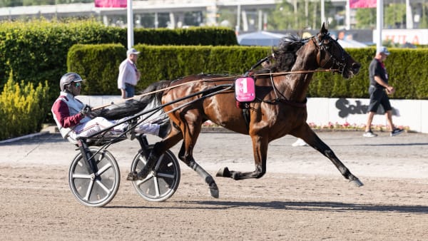 Foto: LENA EMMOTH / TR BILD