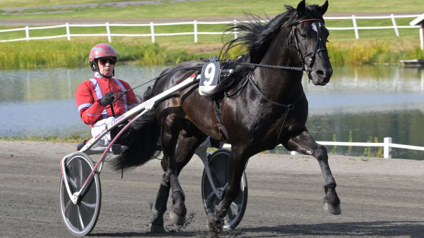 Foto: LARS JAKOBSSON / TR BILD