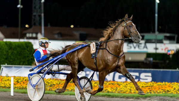 Foto: LENA EMMOTH / TR BILD