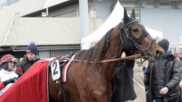 Foto: LARS JAKOBSSON / TR BILD