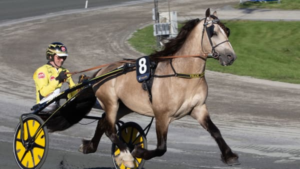 Foto: ANDERS KONGSRUD/HESTEGUIDEN