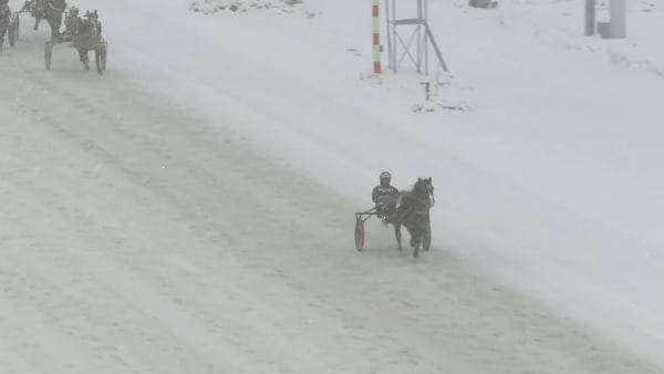 Hög Fara utklassade sina konkurrenter på ett snöigt Umåker.
