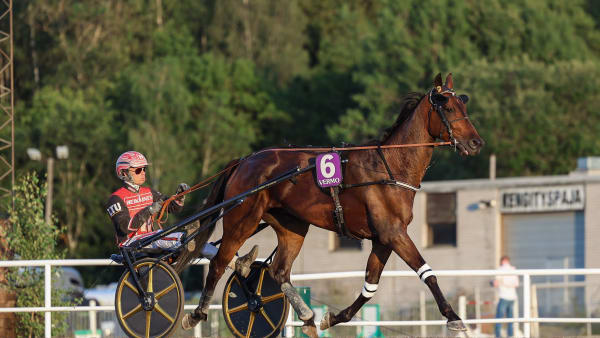 Foto: Maisa Hyttinen/Suomen Hippos