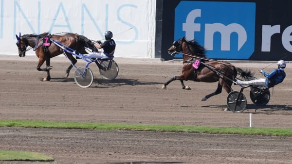 Foto: THOMAS BLOMQVIST/TR BILD