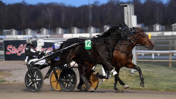 Foto: MALIN ALBINSSON / TR BILD