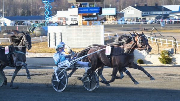 Foto: LARS JAKOBSSON / TR BILD