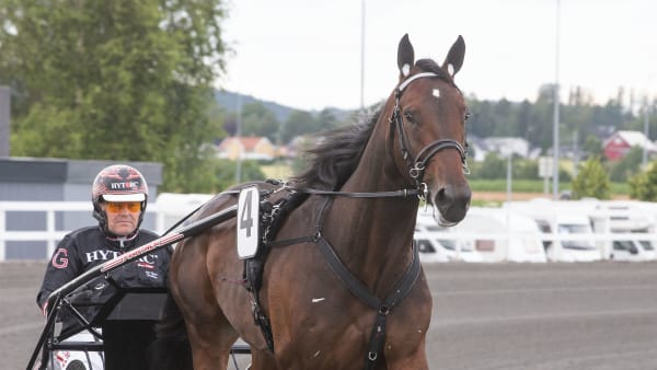 Foto: Hesteguiden.com