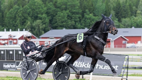 Foto: LENA EMMOTH / TR BILD