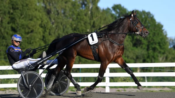 Foto: MALIN ALBINSSON / TR BILD