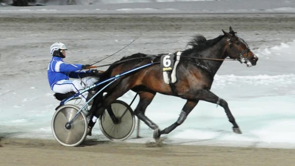 Foto: LARS JAKOBSSON / TR BILD