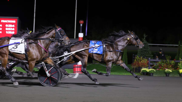 Foto: New Image Media.