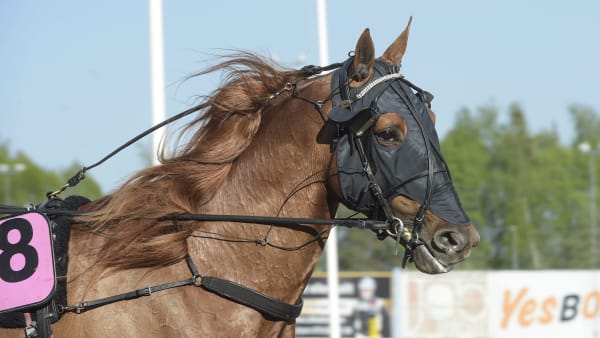 Foto: LARS JAKOBSSON / TR BILD