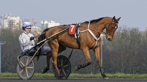 Foto: Jean-Luc Lamaère-LeTROT