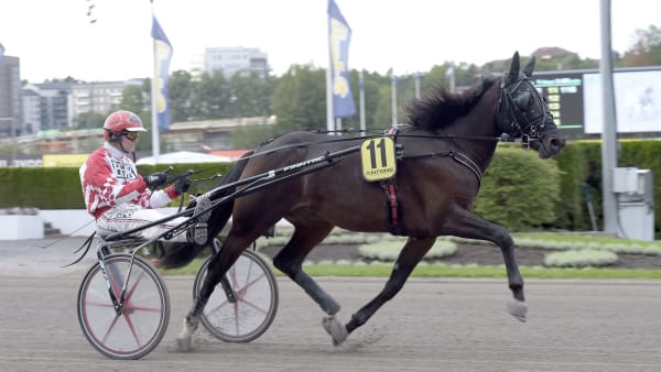 Foto: LARS JAKOBSSON / TR BILD